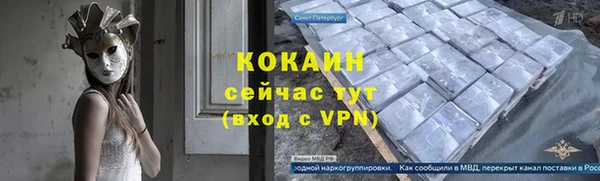 соль ск Алексин