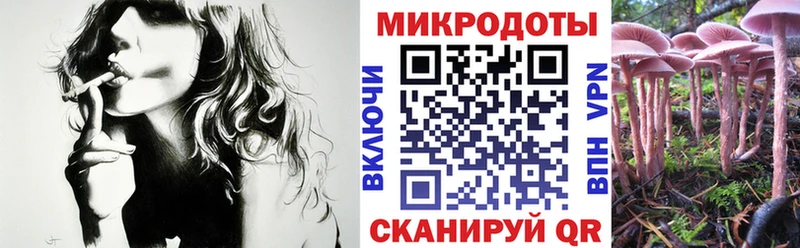 OMG tor  Томск  Галлюциногенные грибы Psilocybe  купить наркотики цена 