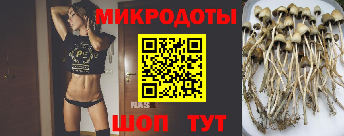 Псилоцибиновые грибы GOLDEN TEACHER  Вход с VPN  Псилоцибиновые грибы GOLDEN TEACHER  хочу   Томск 