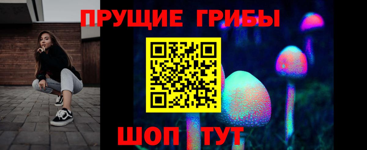 Псилоцибиновые грибы Psilocybe Томск